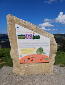 Panorama-Wanderweg Wildbiene Hündle Obersatufen